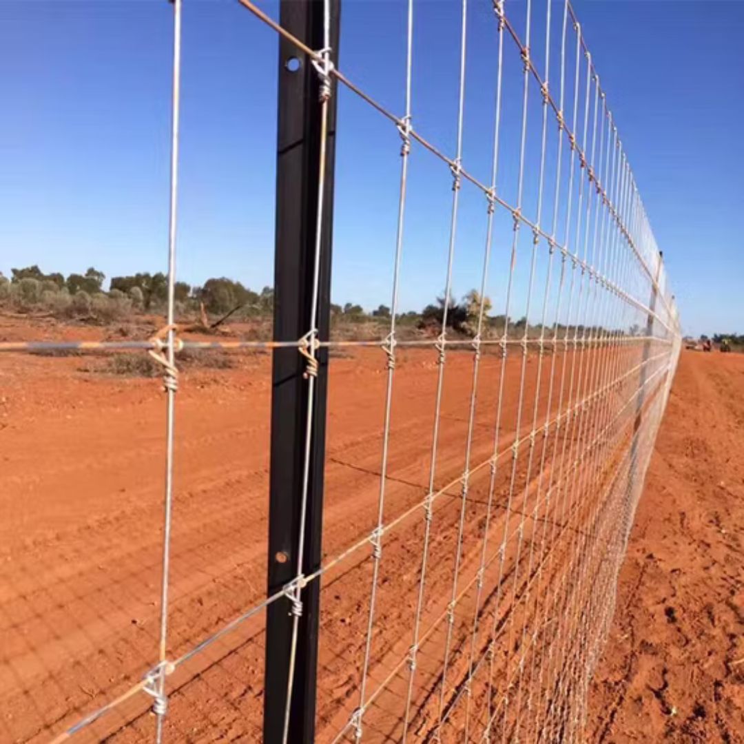 Rural Fencing